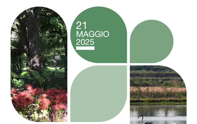 Public Engagement | Secondo appuntamento del ciclo "Aperiscienza alla scoperta di Armonia e Ritmo nella Natura"