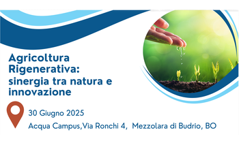 Agricoltura Rigenerativa: sinergia tra natura e innovazione